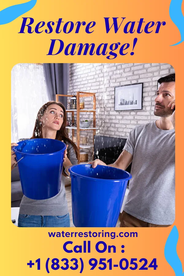 water restoration Allied Water Damage & Associates Mound