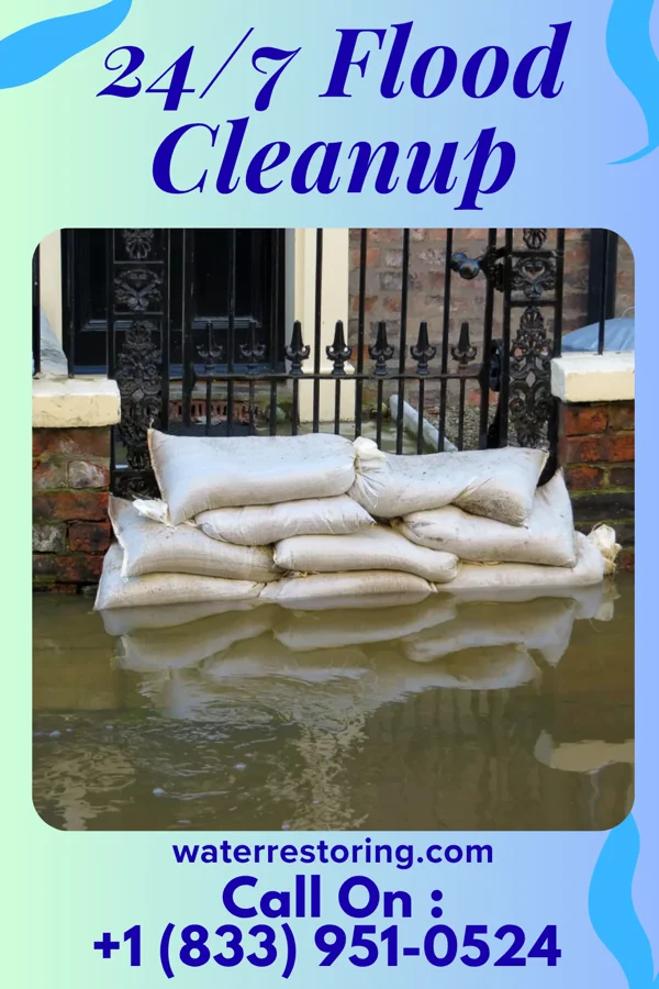 24/7 Flood Cleanup in Mound, LA