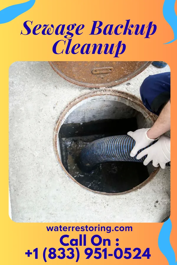 Sewage Backup Cleanup in Mound, LA