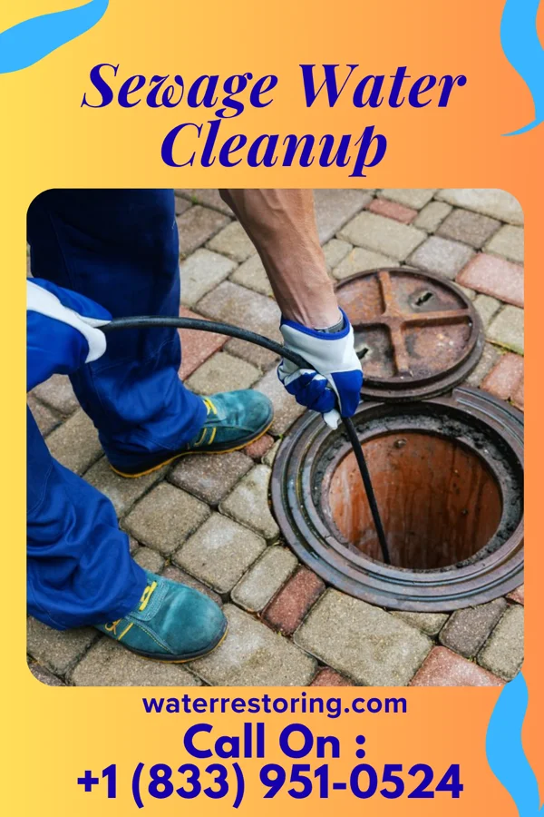 Sewage Water Cleanup in Mound, LA